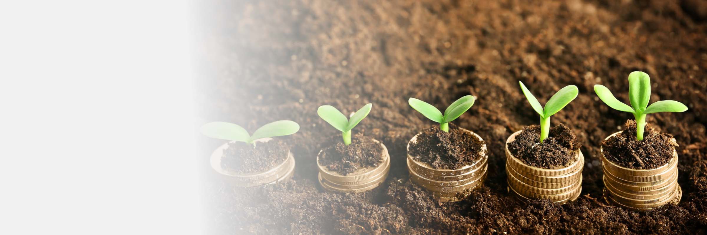 Futuris Farmers Co-operative Finance Scheme