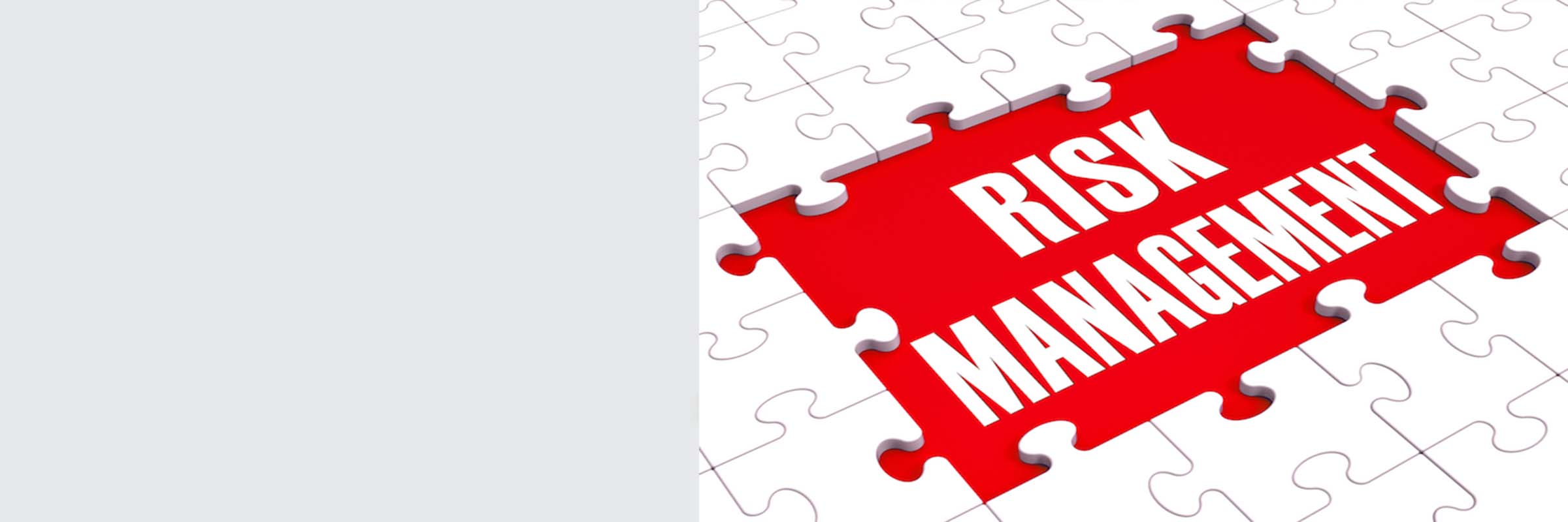 risk management